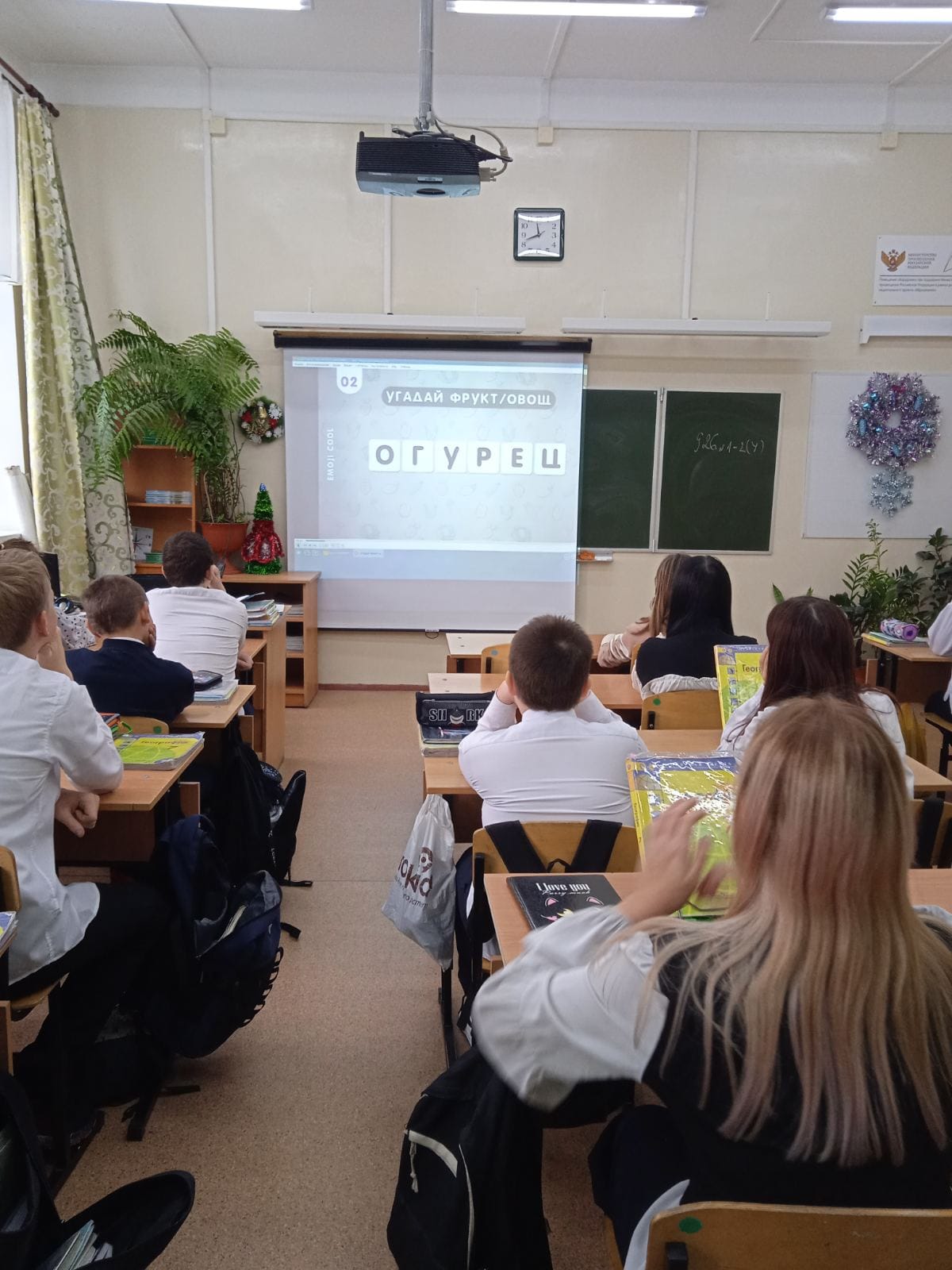 Путешествие в страну Ботаника.