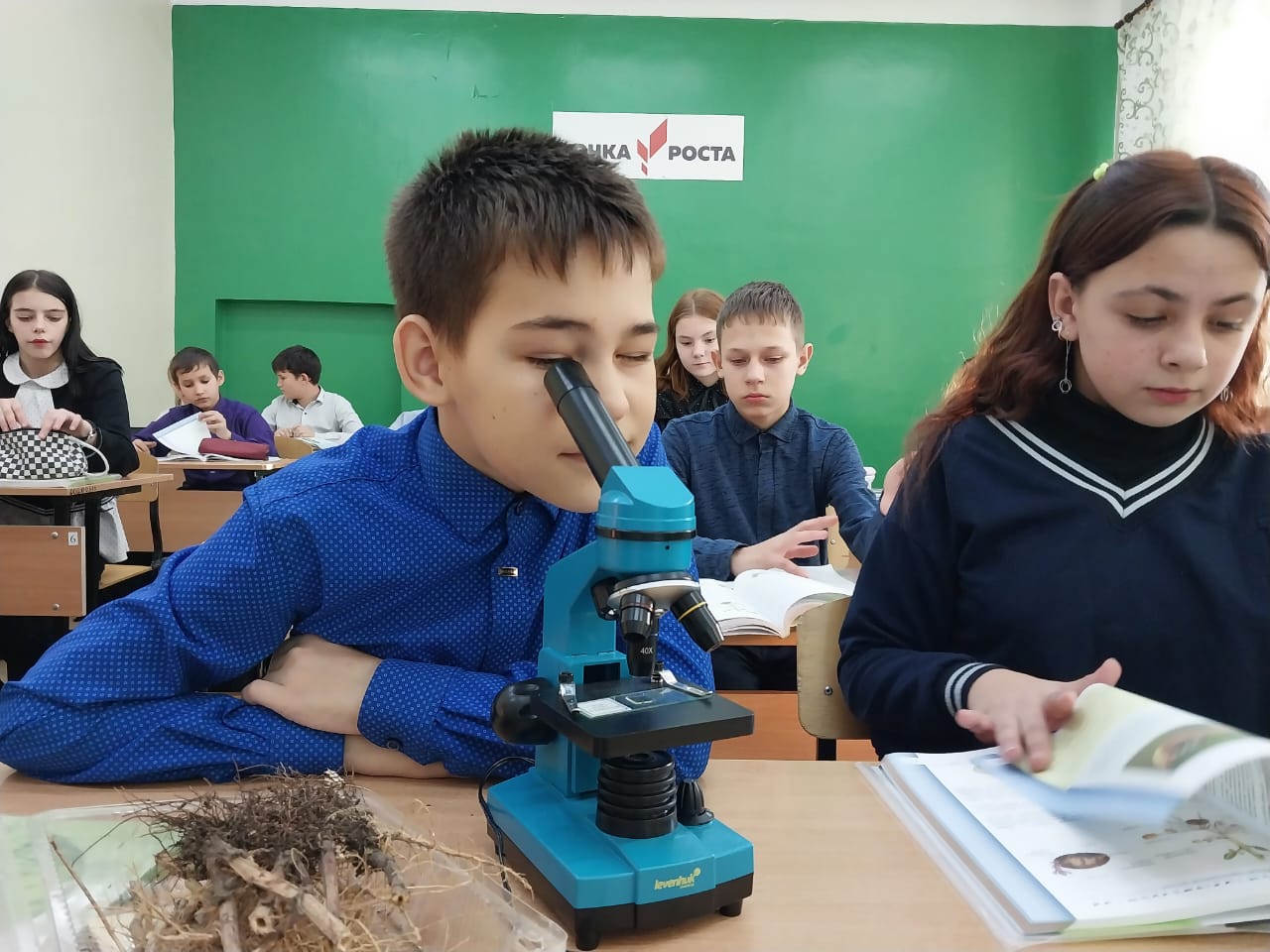 «Виды корней и типы корневых систем»..